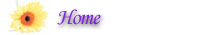 Mari Exline San Francisco Bay Massage Treatment