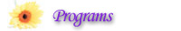 San Francisco Bay Massage Treatment Programs